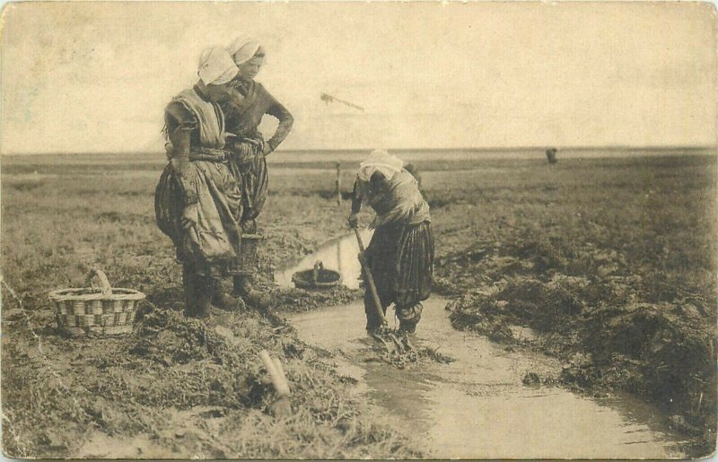 Netherlands Op de Zeeuwsche Schorren Zeeland Dutch types 1919 postcard 