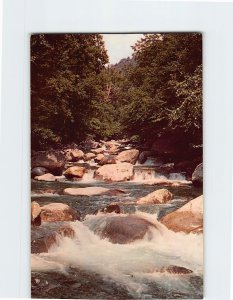 M-193775 Little Pigeon River Great Smoky Mountains National Park Tennessee USA