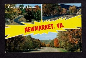 VA Greetings From Newmarket Virginia Postcard Carte Postale PC