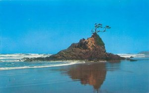 Oregon Fogarty Creek Chrome Postcard Unused