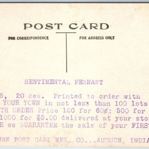 c1910s RARE Pennant Salesman Sample Postcard Auburn Mfg Co Advertising Flag A217