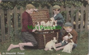 Animals Postcard - Dogs, Pets, Basket of Puppies, Children, Boys Ref.DC87