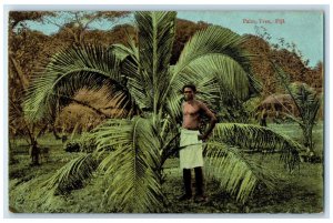 c1910 View of a Man and Palm-Tree Fiji Antique Posted Art Series Postcard