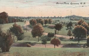 Burnet Park - Syracuse NY, New York - pm 1909 - DB