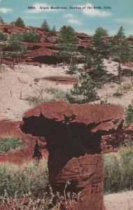 Giant Mushroom - Garden of the Gods CO, Colorado - DB