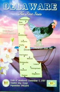 DELAWARE Map Postcard - The First State -  State Symbols