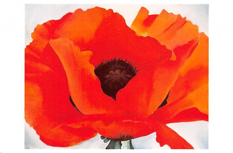 Red Poppy, Art Institute Of Chicago  