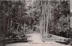 RIO DE JANEIRO BRAZIL CORCOVADO FLORESTA PHOTO POSTCARD 1910s