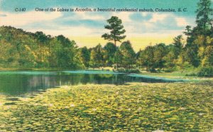 USA One of the Lakes in Arcadia Columbia South Carolina Linen Postcard 08.15