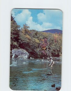 Postcard It's A Strike, Ausable River, The Adirondacks, New York