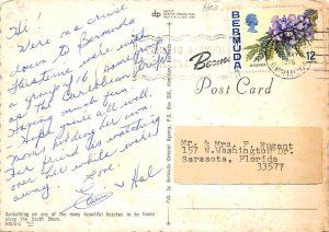 Sunbathing on South Shore Bermuda Postcard