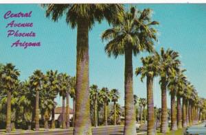 Arizona Phoenix Palm Lined Central Avenue
