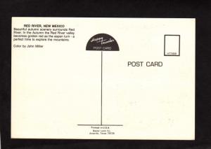 NM Red River Village View New Mexico Postcard Gold Mining Town PC