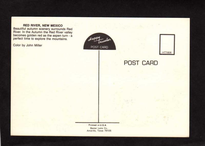 NM Red River Village View New Mexico Postcard Gold Mining Town PC