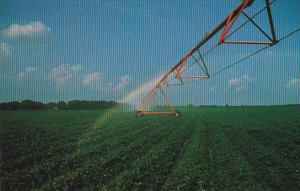 Irrigatin Peanut Field In Georgia