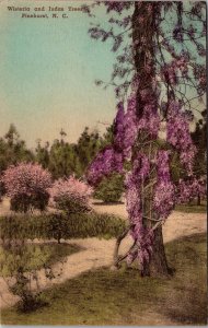 Wisteria and Judas Trees, Pinehurst NC Hand Colored c1947 Vintage Postcard T74