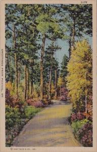 Greetings From Pownal Vermont