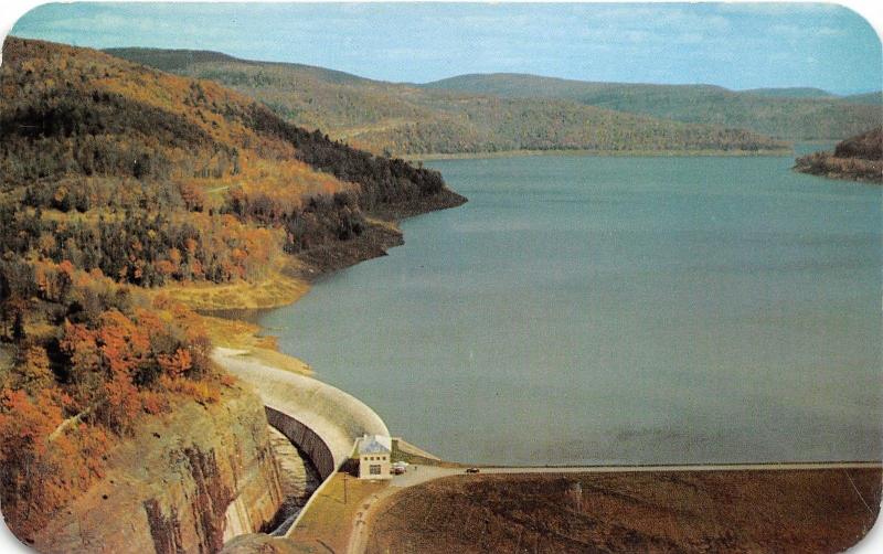 Hancock NY Greeting~Pepacton Reservoir & Delaware River @ Downsville NY~1950s PC