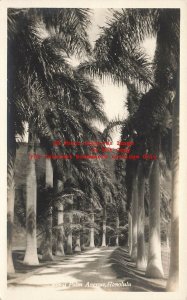 HI, Honolulu, Hawaii, RPPC, Royal Palm Avenue, Trees, Photo