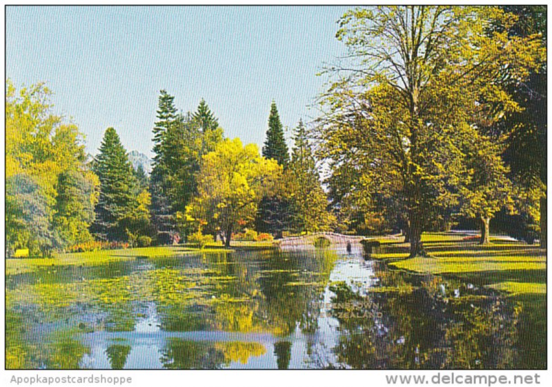 New Zealand Queenstown Lily Pond and Stone Bridge Gardens