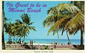 Postcard  View of Tropical Lummus Park and Beach in Miami Beach, FL.   S3