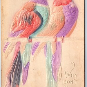 c1900s Cute Hand Colored Parrot Birds Why Don't You Say It Heavy Embossed A217