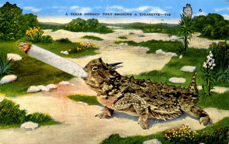 TX - Texas Horned Toad Smoking a Cigarette