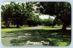 Hilo Hawaii HI Postcard Banyan Drive Exterior Park c1969 Vintage Antique Posted