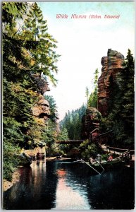 Wilde Klamm (Bohm Schweiz) Switzerland Bridge Boat Rock Formations Postcard