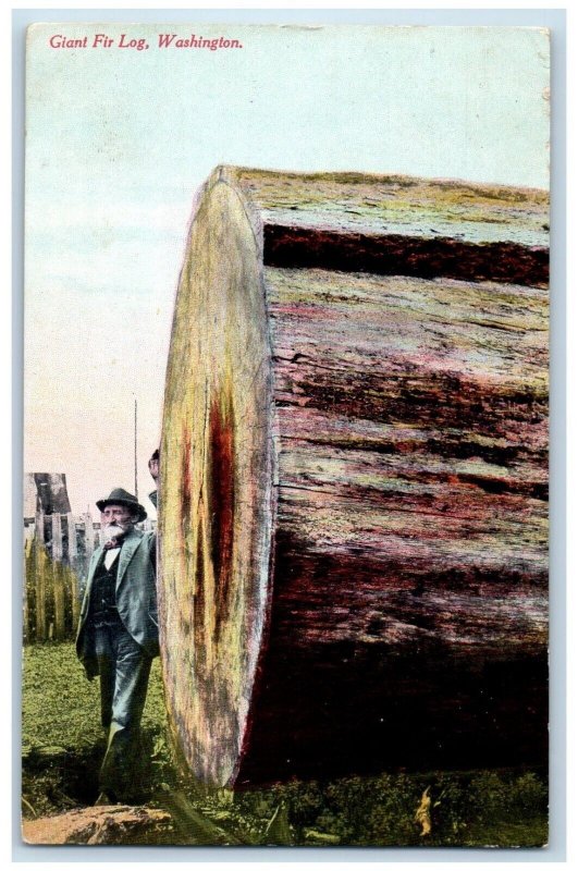 1918 Old Man Standing, Giant Fir Log, Washington Antique Posted Postcard 