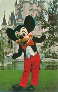 Mickey Mouse at Walt Disney World, Cinderella's Castle Chrome Postcard Unused