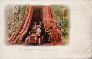 Vancouver BC Big Hollow Tree Stanley Park Automobile Embossed Postcard H21