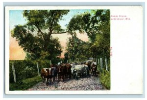 C. 1910 Rural Scene, Janesville, Wis. Postcard P41