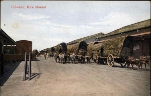 Colombo Ceylon Rice Market Oxen Wagons c1910 Postcard