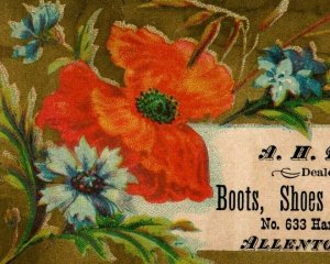 Lot of 2 1880's A.H Boas Boots Shoes & Rubbers Orange Poppies Image P174