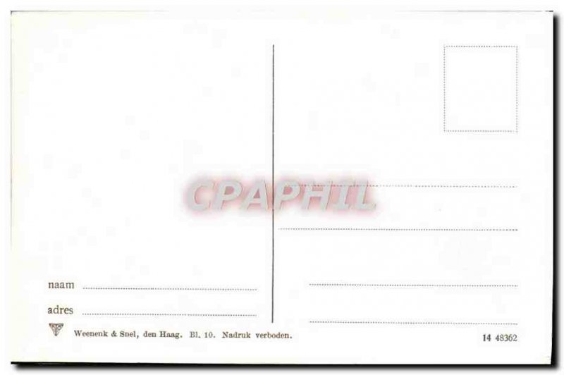 Postcard Old Hyacinthenvelden flowers