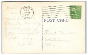 1949 Paper Mill on the Fox River, Appleton, WI Postcard 