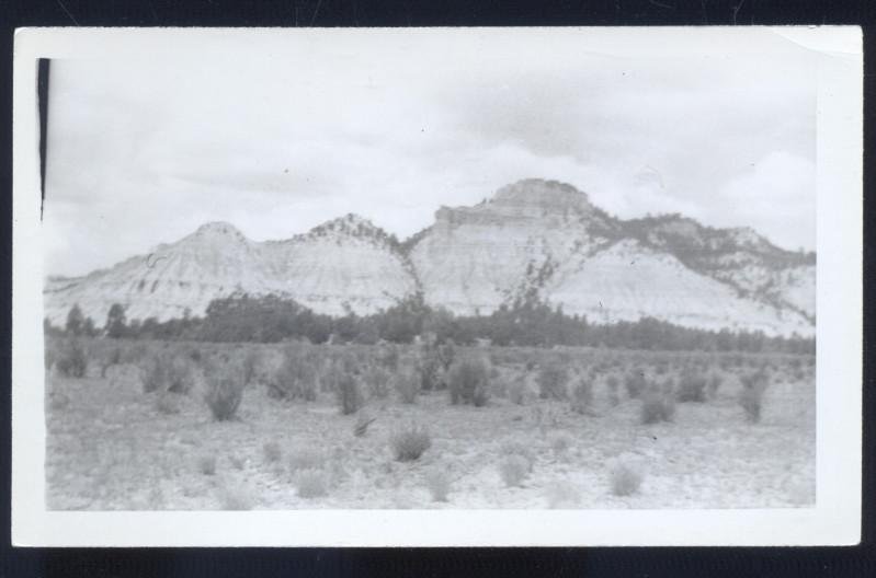 REAL PHOTO PHOTOGRAPH NEAR RED HILL NEW MEXICO 3.5 X 5.5 NM N.M.