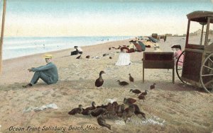 Salisbury Beach MA Popcorn Wagon Birds Eating Left Overs Postcard