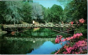 Bridges Postcard Rustic Bridge over Mirror Lake Bellingrath Gardens Mobile AL