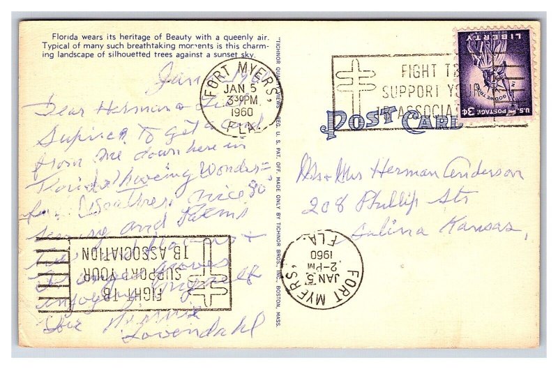 Postcard Florida Silhouette Sunset Sky c1960 Postmark