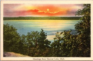 Scenic View, Greetings From Central Lake MI Vintage Postcard Q49