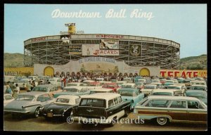 Downtown Bull Ring