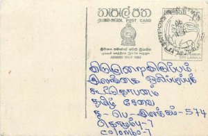 Entier Postal Stationery Postal Sri Lanka Ceylon Lion