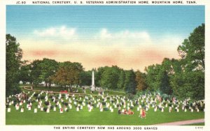 Vintage Postcard National Cemetary U. S. Veterans Administration Tennessee TN