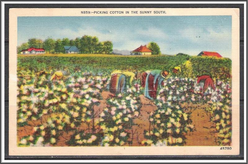 United States - Picking Cotton in The Sunny South - [MX-342]