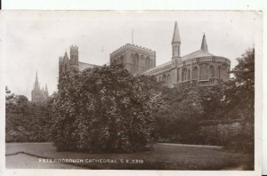 Cambridgeshire Postcard - Peterborough Cathedral - Real Photograph - Ref 16055A