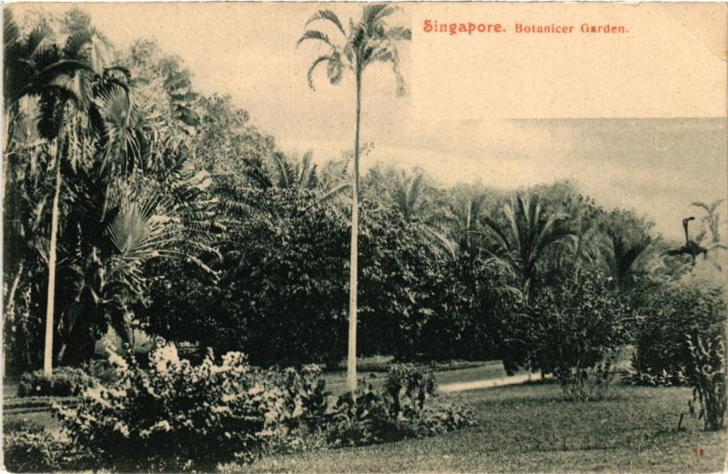 CPA AK SINGAPORE Botanicer Garden (a1486)