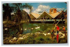 Vintage 1960's Postcard Hospitality House Busch Gardens Tampa Florida