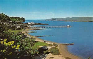 Inverness California Tomales Bay, Photochrome Vintage Postcard U14263